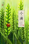 小满