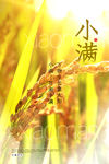 小满