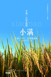 小满