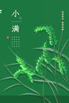 小满