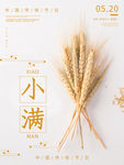小满