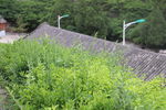 屋顶