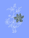 花