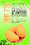 水果文化系列之芒果