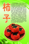 水果文化系列之柿子