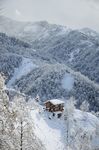 雪景