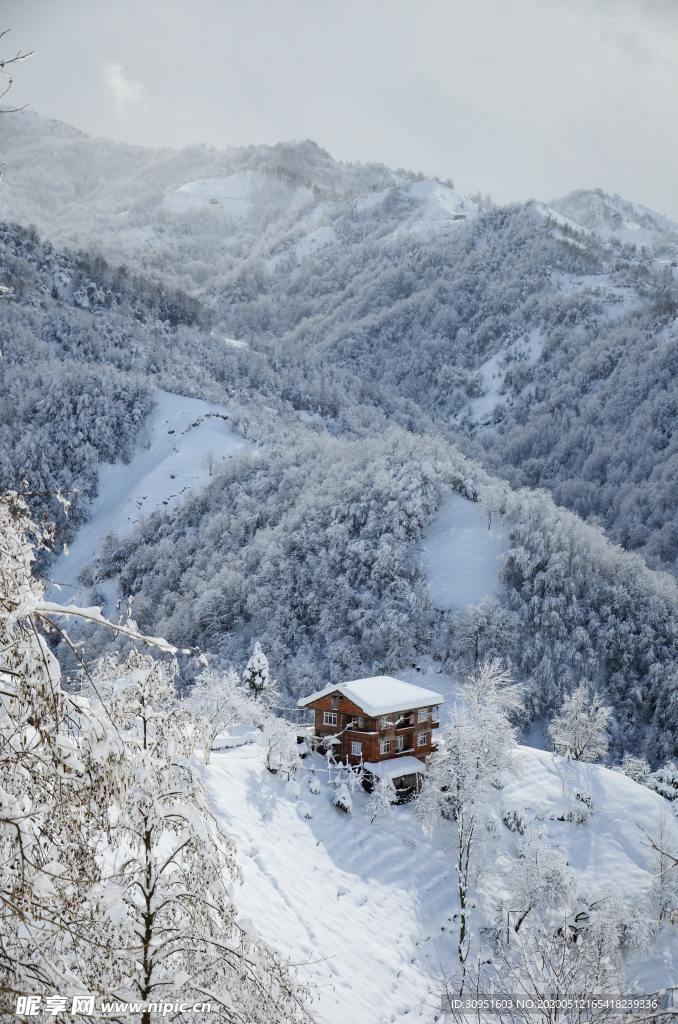雪景