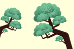 迎客松