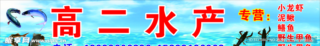 水产 海鲜  冷冻