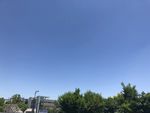 蓝天 树木 天空