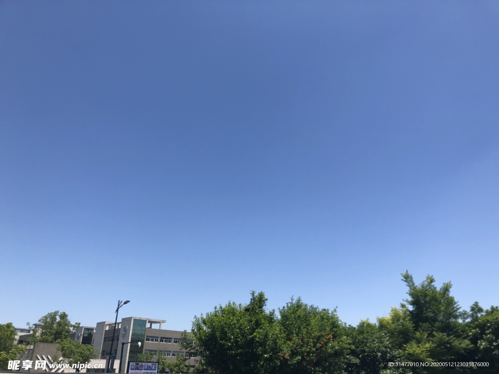 蓝天 树木 天空