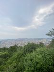 山顶美景