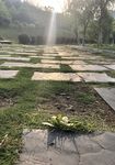 石板路