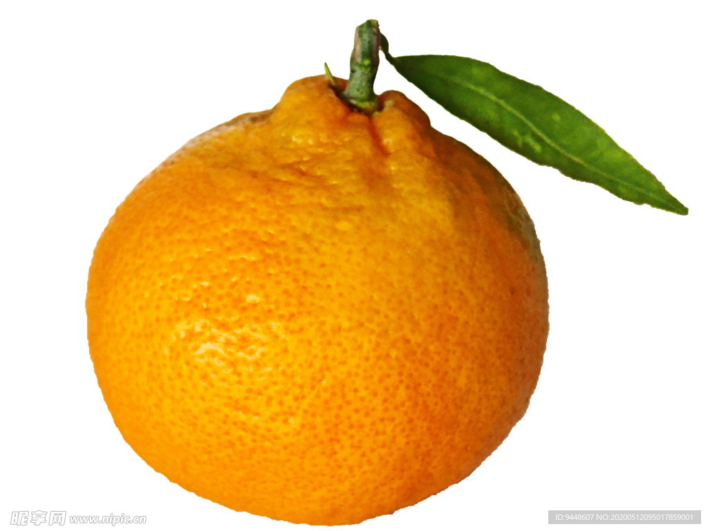 橙色柿子图片
