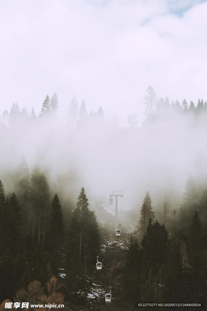 森林烟雾