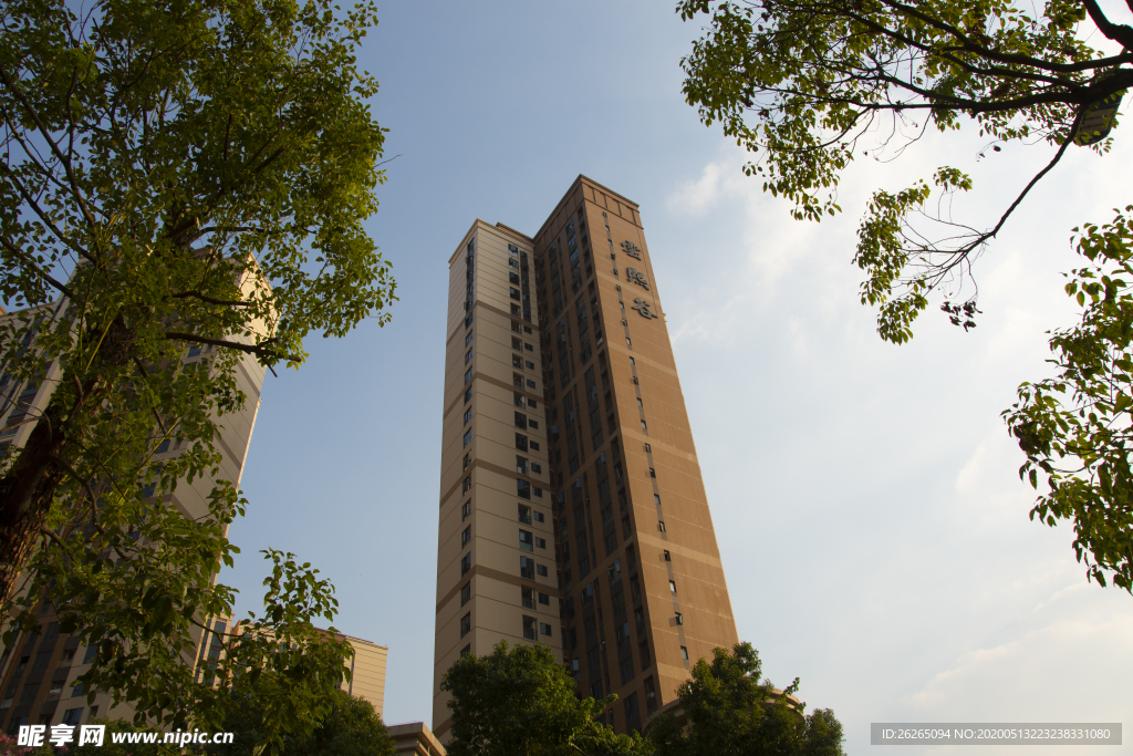 城市