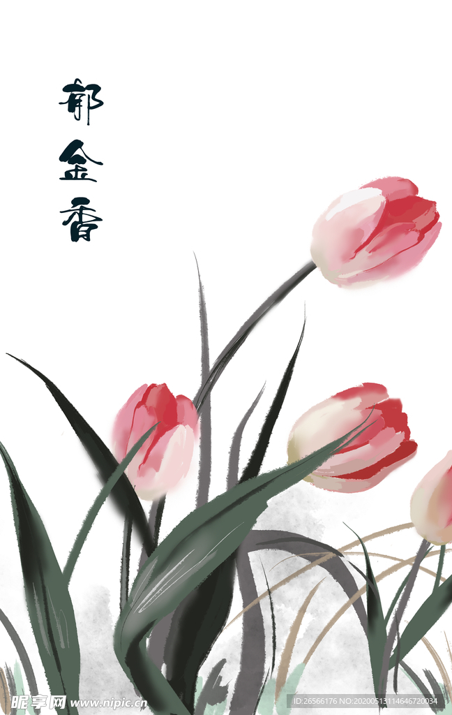 花卉植物