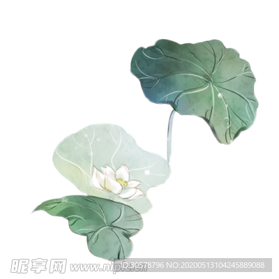 荷叶免抠元素