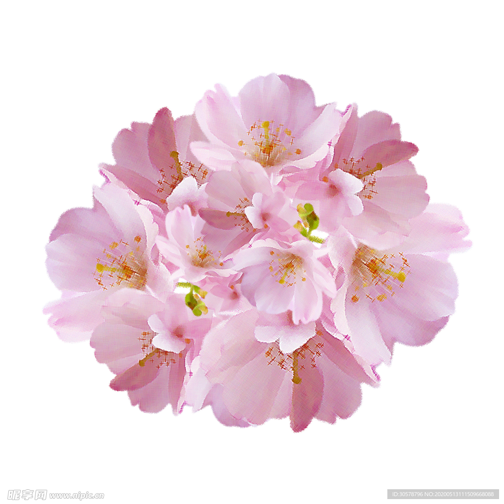 花免抠元素