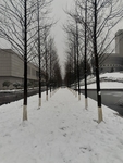 雪地