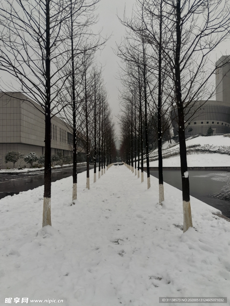 雪地