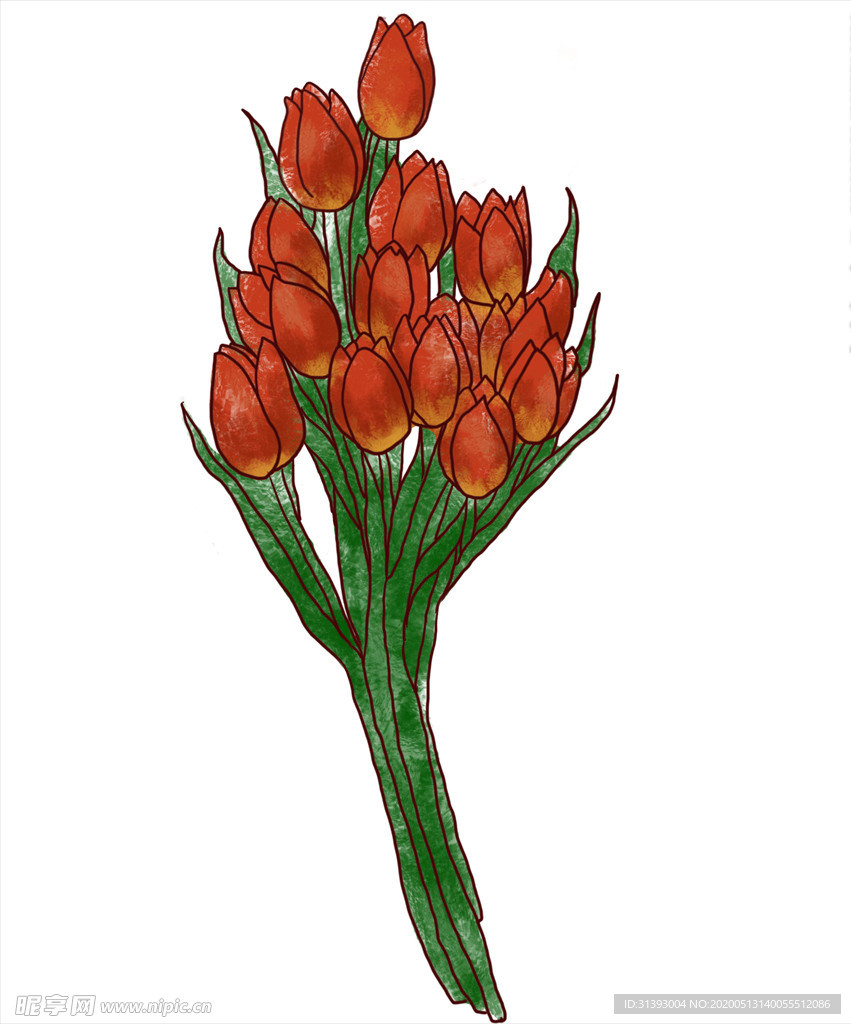 郁金香花