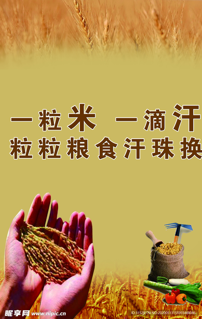 节约粮食