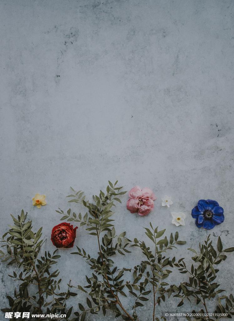 花朵背景