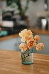 鲜花静物写真