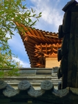 龙窝楼春色