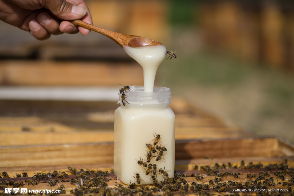 蜂蜜 蜜蜂 蜂 蜜 白蜜