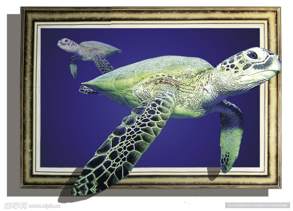 海龟3D立体画