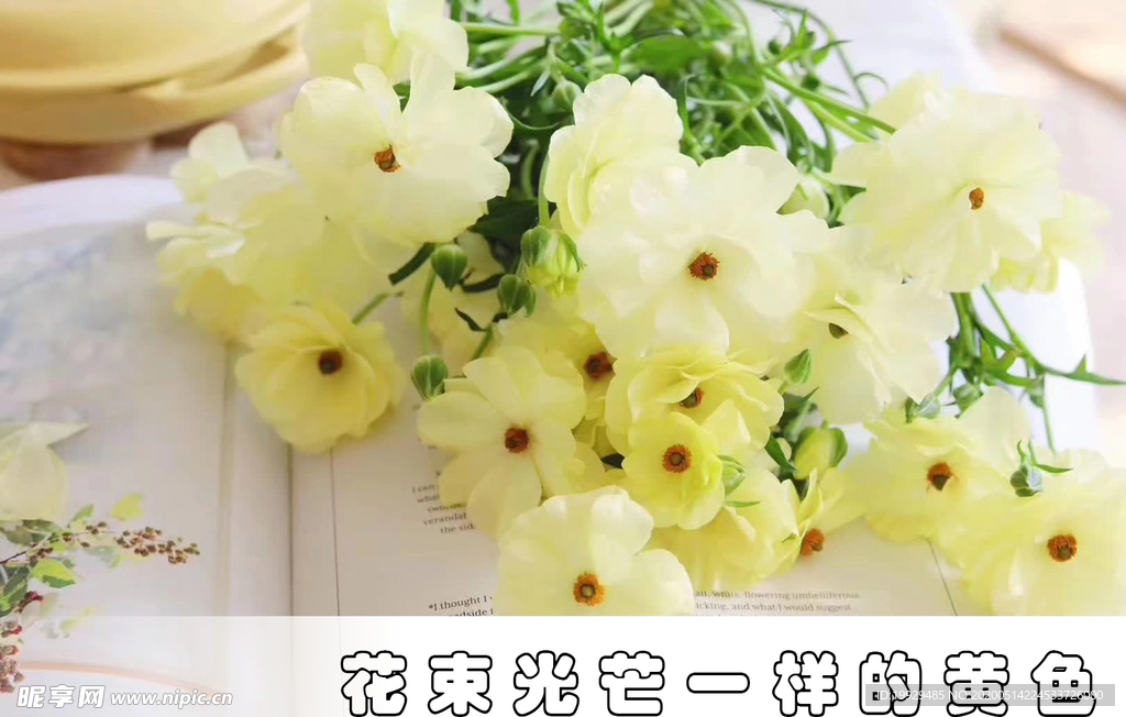 黄色花束