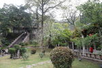 庭院