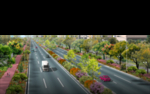 通兴路道路绿化 景观效果图