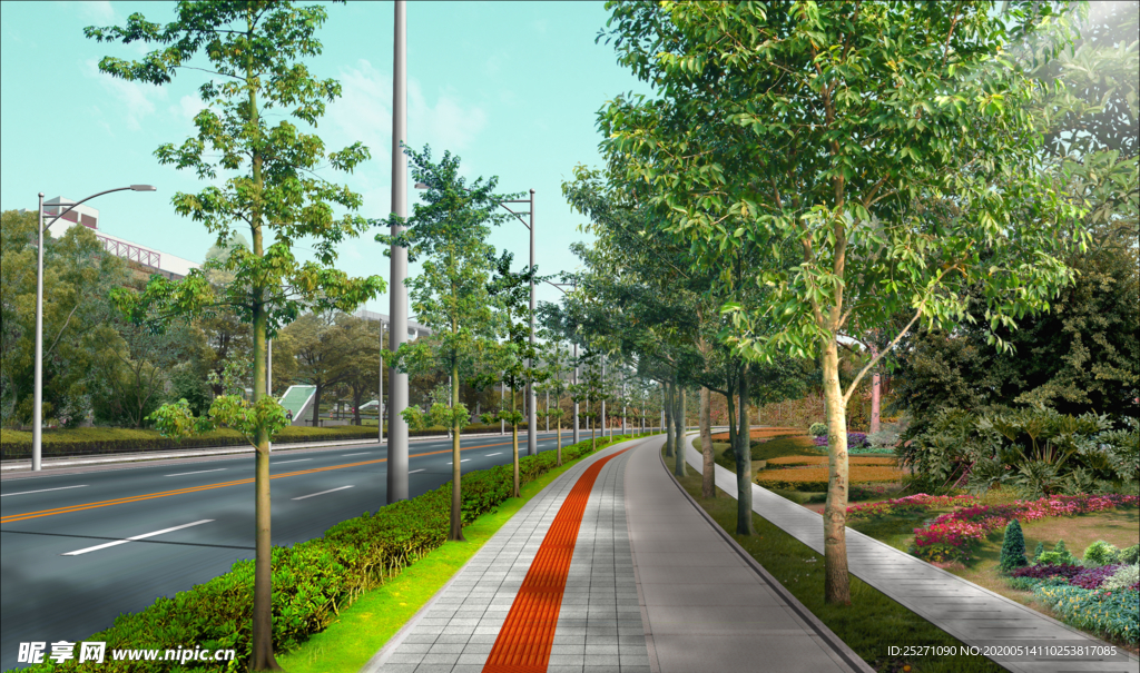 道路绿化 景观效果图
