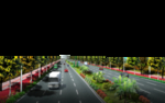 道路绿化 景观效果图