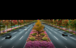 道路绿化 景观效果图