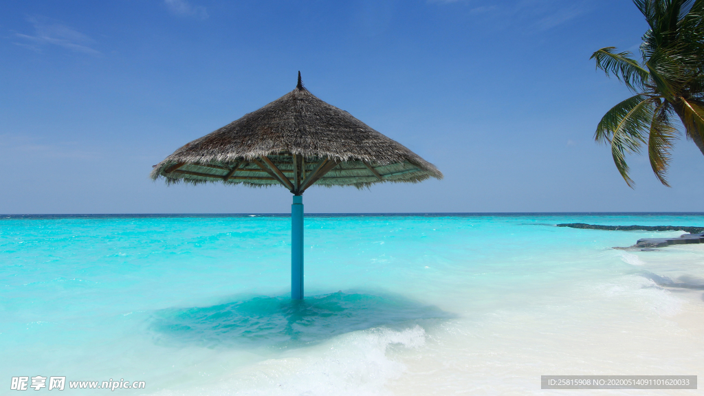 马尔代夫沙滩海岸图片