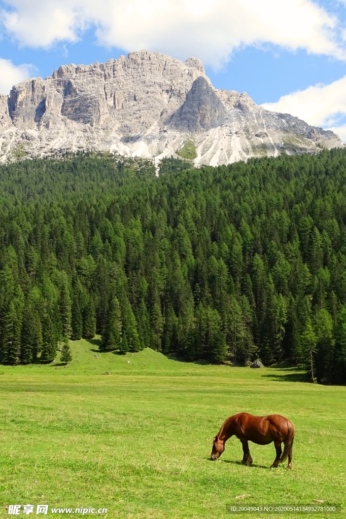 风景