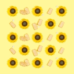 向日葵