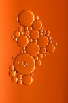 气泡