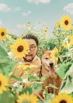 向日葵花海