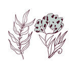 花