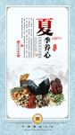 夏季养心