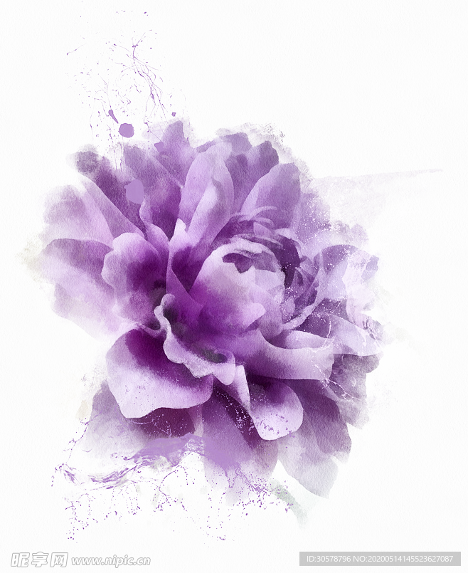 紫色花