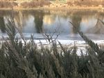 北护城河雪后