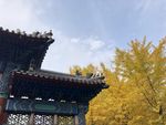 北京的秋天