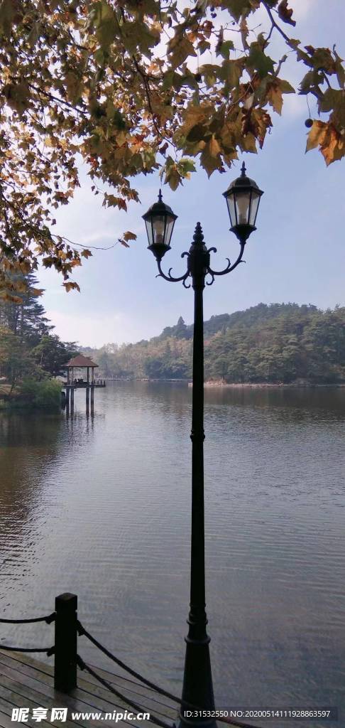灯下湖