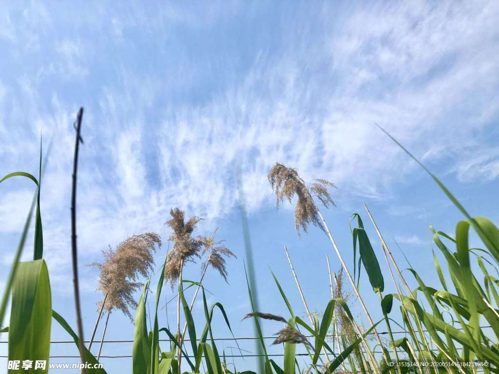 春风徐徐